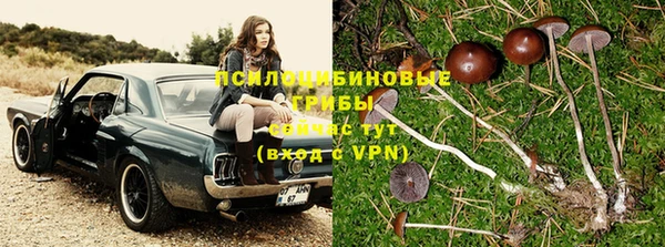 кокс Ивантеевка
