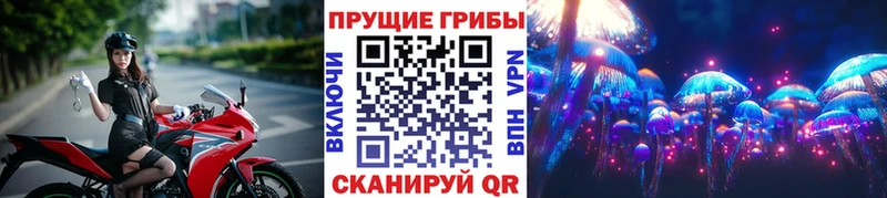 Галлюциногенные грибы ЛСД  Новая Усмань 